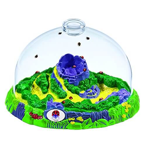 Insect Lore World of Eric Carle - Image 2