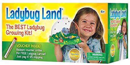 Insect Lore Original Ladybug Land with Voucher